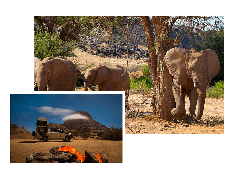 Explora Namibia con Alquiler de Vehículos 4x4 Autoguiados